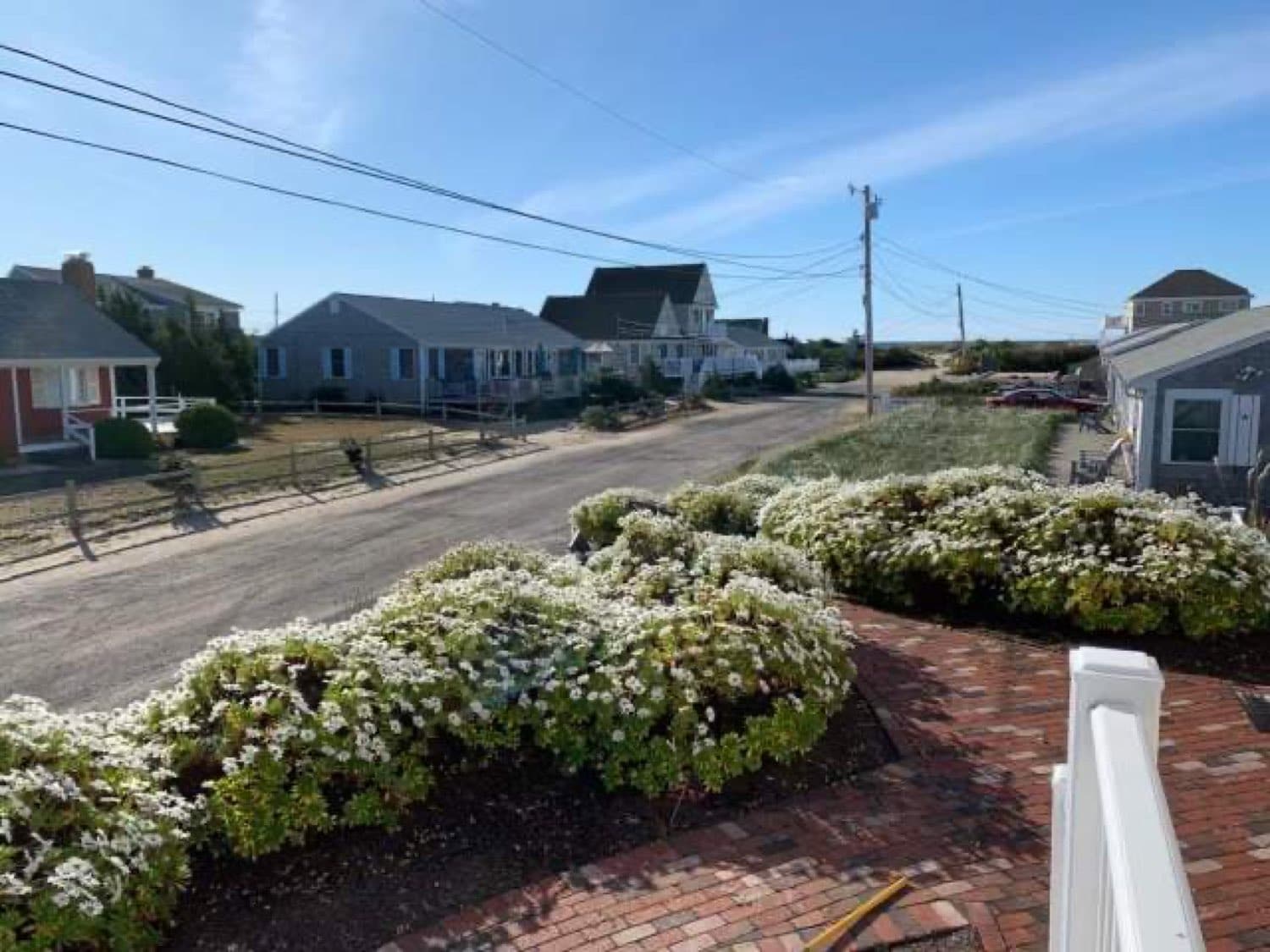 Flowering shrubs lining a brick patio beside a street of shingled cottages