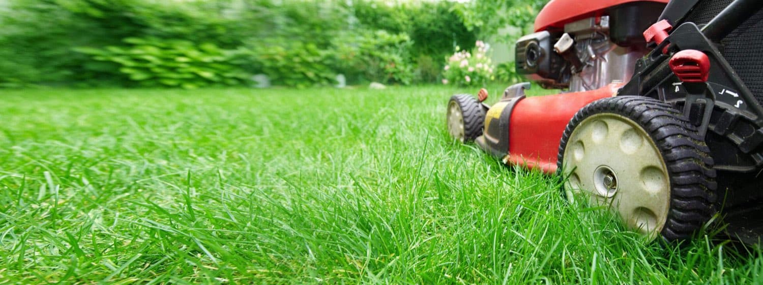 Close-up of a red lawn mower cutting thick green grass