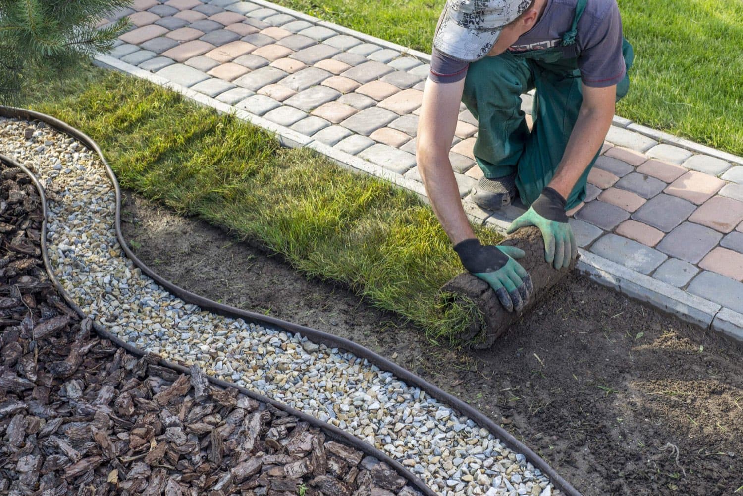 Landscaper rolling out sod beside a paver walkway and gravel border