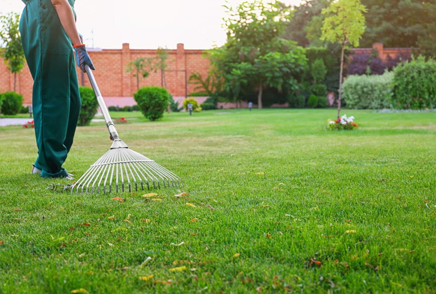 Worker raking a lawn with a fan rake during a spring cleanup